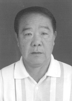 丁振陽(yáng) 