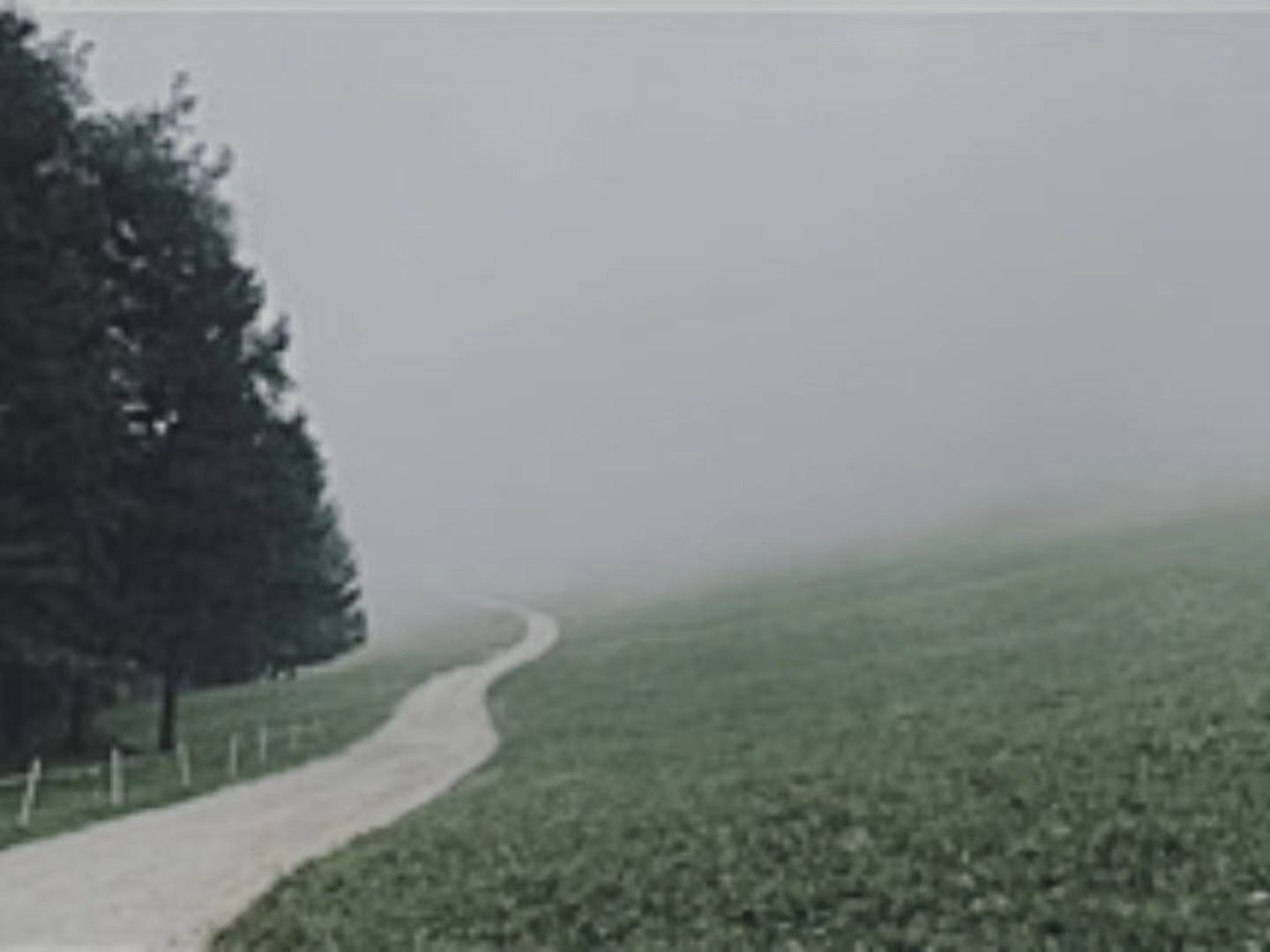 【輯一】南部山區(qū)：有時在大風中，群山似乎在奔跑走在山間公路上/山崖在左，溪水在右/轉(zhuǎn)過兩座山，山崖到了右邊，溪水來到左邊[詳細]