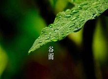 《谷雨》過了清明，就是谷雨。村莊里，田野里，村路上，草木間，人家的院落里，人們的臉上，到處都是春天的閑意思了。[詳細]