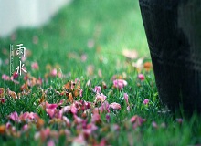 《雨水》轉眼就過了正月十五。芳村這地方，過了十五，才算是過了年。老輩子的風俗，十五看燈，十六游百病。[詳細]