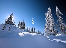 《大寒》這個時節(jié)，天短，日頭地兒就顯得格外金貴。一進臘月，過事兒的多了起來。[詳細]