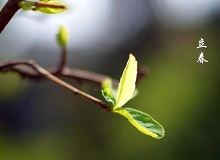 《立春》大年三十這一天，天難得放晴了。村子里到處明晃晃的，陽光映照著雪地，仿佛琉璃世界。[詳細]
