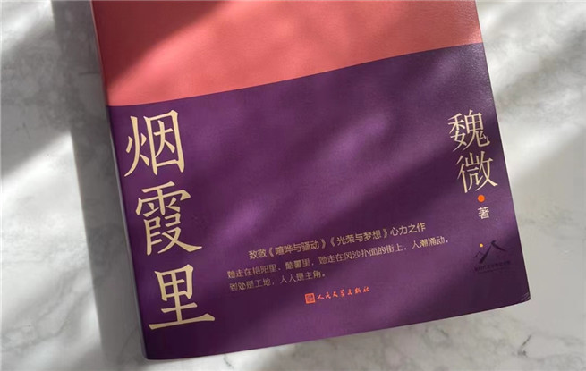 【特約評論】魏微：抒情為表，史詩為里