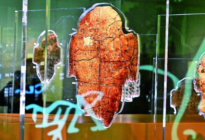 河南安陽殷墟博物館新館內(nèi)展出的刻辭卜甲。 新華社記者 李安攝 