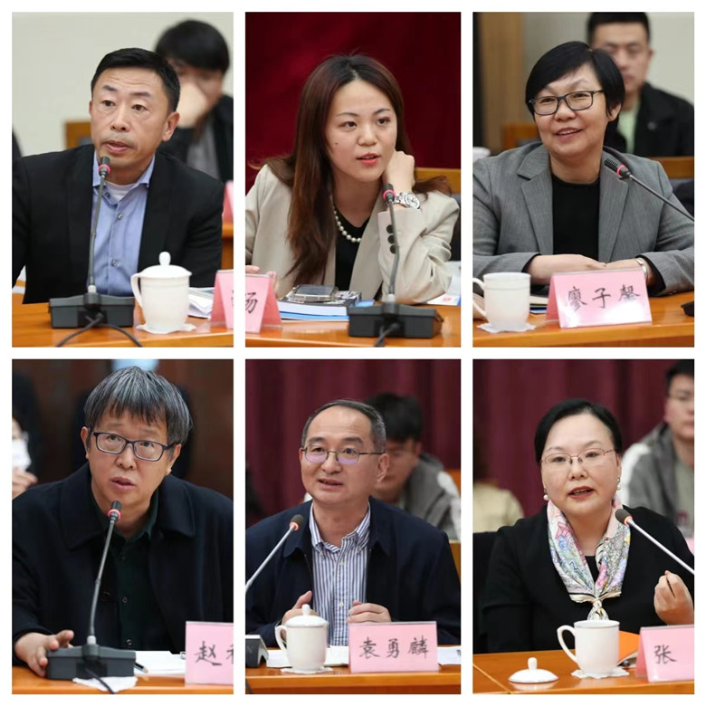 游江、程皎旸、廖子馨、趙稀方、袁勇麟、張莉發(fā)言