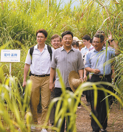 　　圖為電視劇《幸福草》劇照。 　　片方供圖