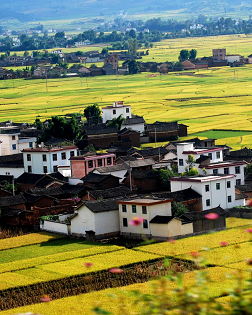 王劍冰：畫(huà)里鄉(xiāng)村